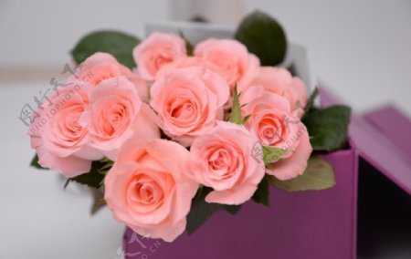 玫瑰花盒