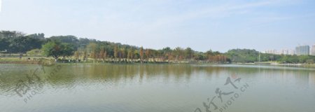 公园人工湖