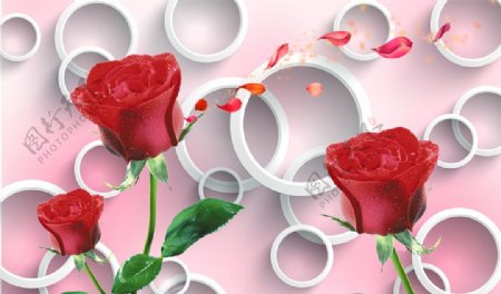3D圆圈玫瑰花瓣素材
