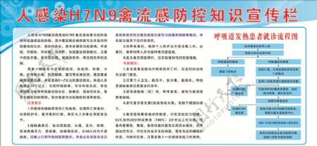 人感染H7N9禽流感防控宣传栏
