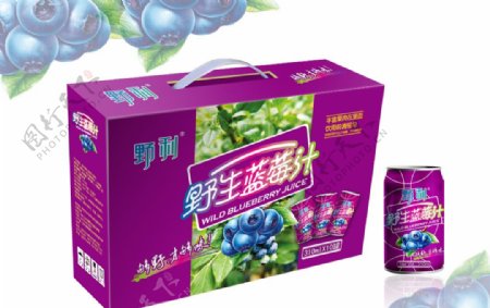 蓝莓果汁饮料礼盒平面图