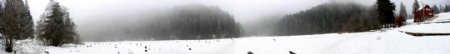 美丽冬天树林雪景风景图片
