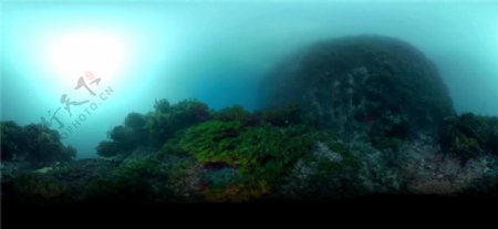 揭秘海底世界VR视频