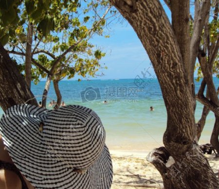 沙滩沙水蓝色树木加勒比海