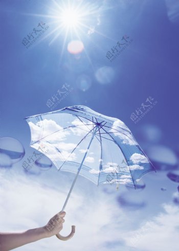 透明太阳伞装饰画