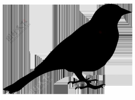 黑色小鸟剪影免抠png透明图层素材