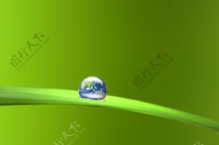 绿叶上的地球水滴图片