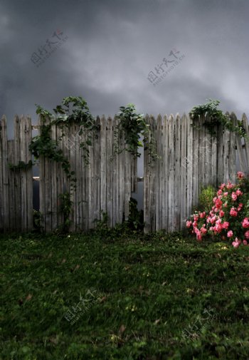 草地上的篱笆鲜花影楼摄影背景图片