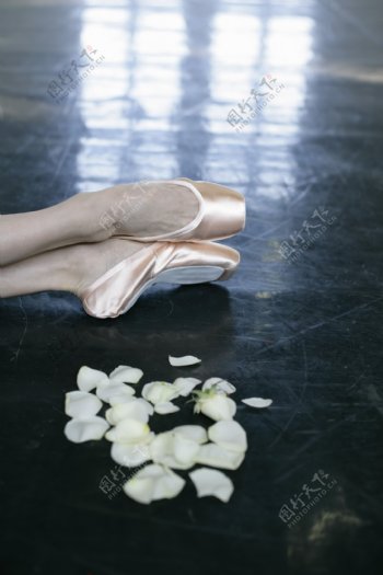 花瓣与舞蹈演员脚部特写图片