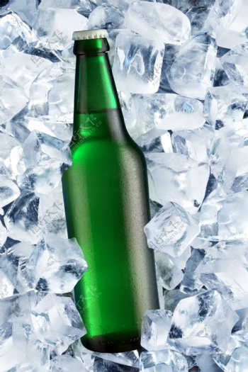 冰块上的啤酒摄影图片