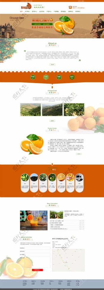 橙子种植网站首页
