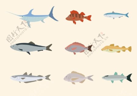 矢量鱼类插画