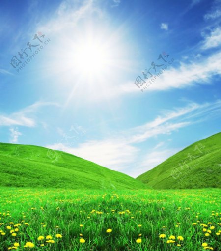 阳光照耀的绿色山谷图片