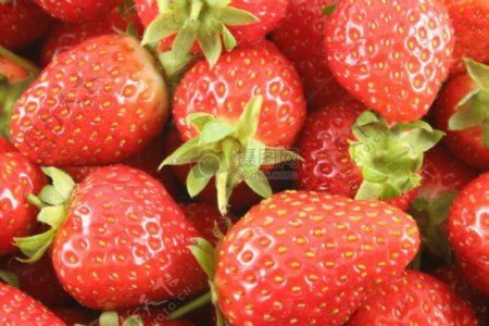 草莓高清特写