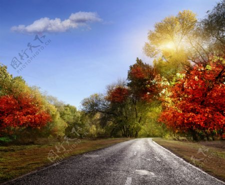 秋天的道路图片
