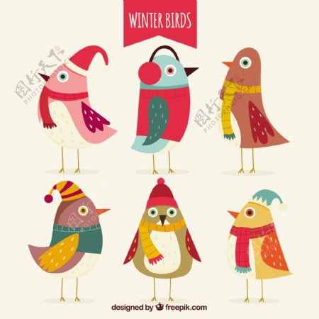 不同冬季配件的彩色鸟群