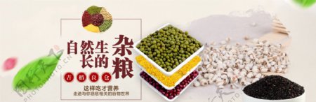 红豆薏米杂粮海报