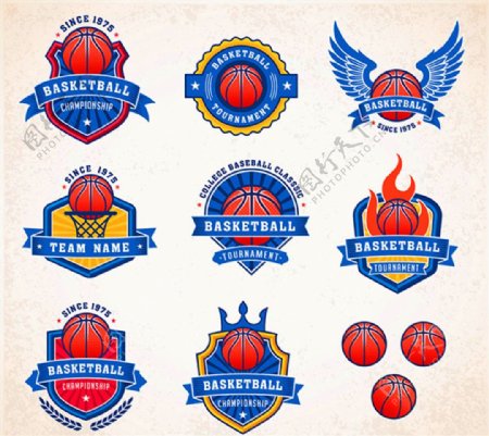 篮球队队徽