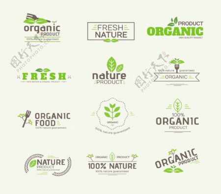 文字绿色植物新鲜健康食品logo矢量
