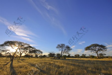 非洲的自然天光图片