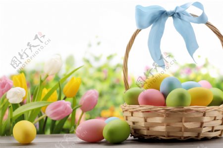 郁金香与复活节彩蛋篮子图片