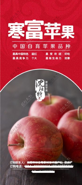 苹果展架苹果团购会红苹果富士苹果