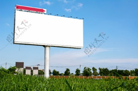 草地上的广告牌图片