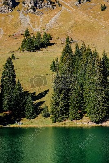 平静的湖面近松树和山白天