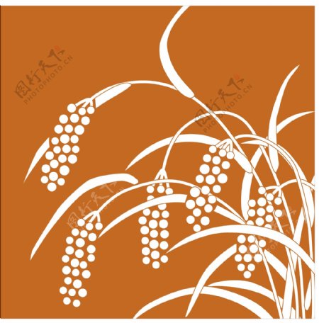 麦子图案设计图片