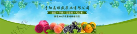 是关于水果设计的网站banner