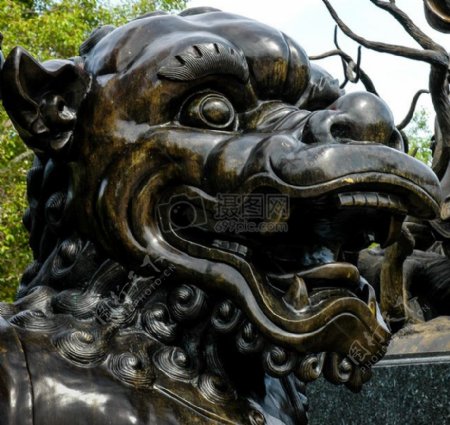 苏州园林狮子头雕像