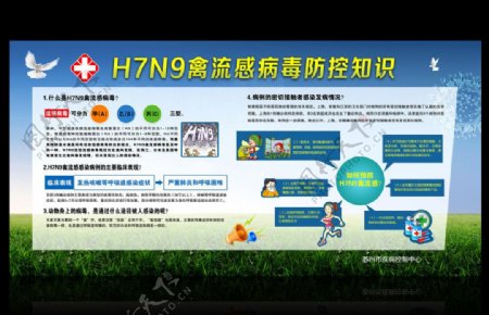 H7N9禽流感病毒