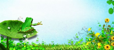 童装海报小青蛙绿色春季背景