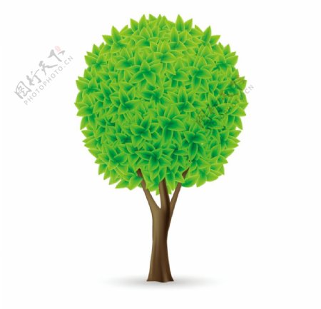 绿树大树小树