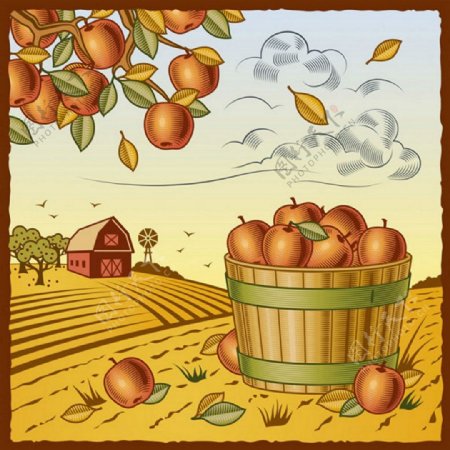 秋季收苹果背景图