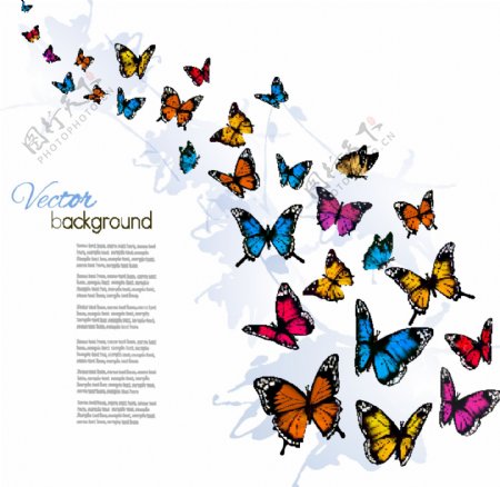 美丽的蝴蝶与情人节矢量素材图设计