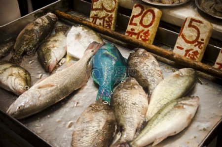 市场上贩卖的鱼