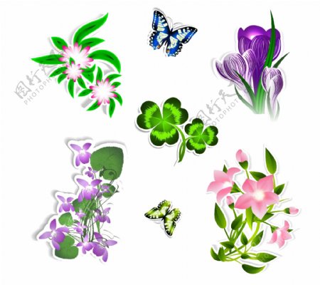蝴蝶和花朵插画