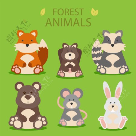有趣的森林动物图片