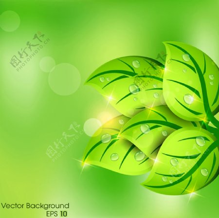绿色树叶植物矢量图