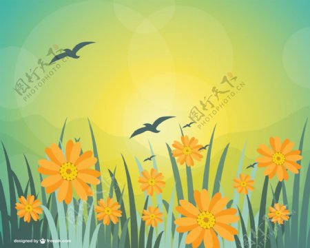 在草地上黄色的花与鸟
