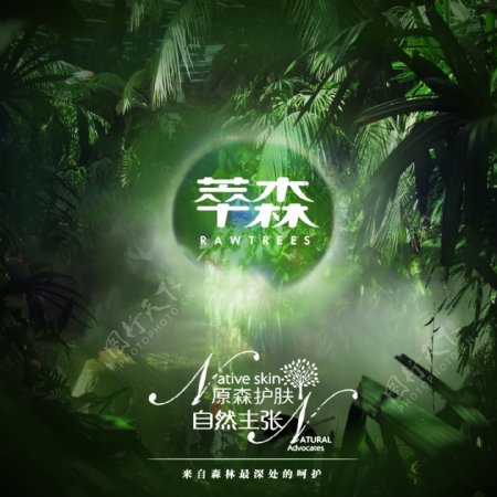 森林品牌形象设计推广海报绿色热带雨林
