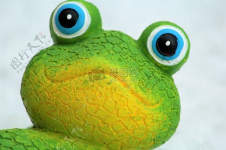 绿色与黄色相接的青蛙头