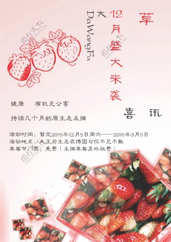 大王府生态农博园度假区草莓节传单