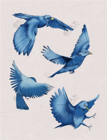 4只蓝色小鸟图片