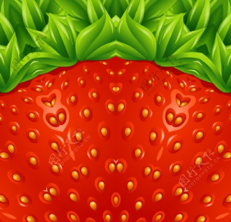 夏季草莓背景矢量素材