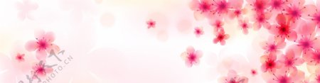 粉色鲜花底纹背景图