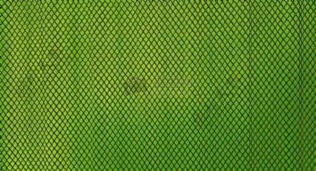 绿色的网状图片