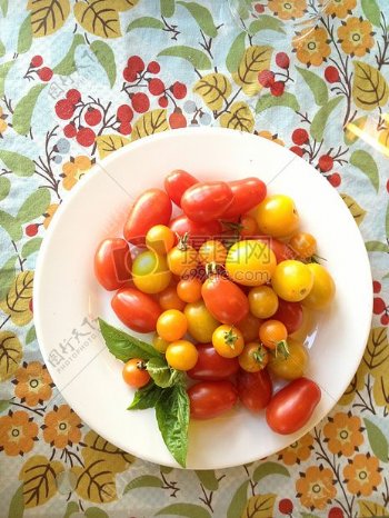 蕃茄樱桃番茄新鲜樱桃食品番茄健康蔬菜素有机