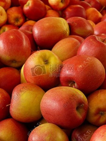食品健康红苹果吃水果美味皇室成员自由成熟弗里施维生素